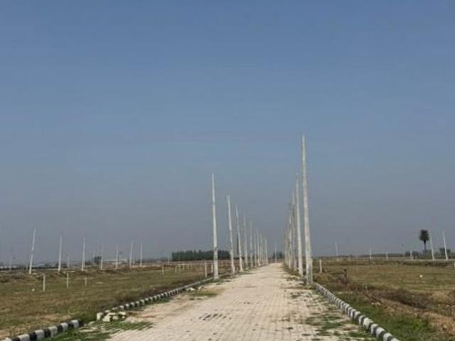 Gulmohar 2 100 Sq.Yd. Plot in Lalru Mohali Listing ID: #10043