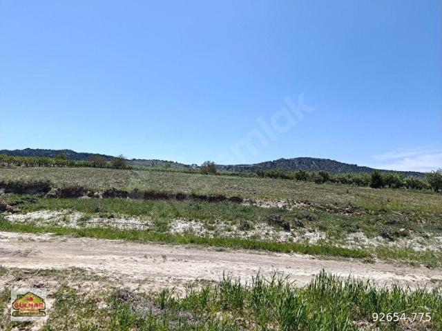 GÜLNAR AKOVA MAHALLESİNDE SATILIK 9900 M2 TARLA