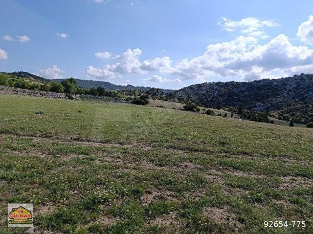 GÜLNAR AKOVA MAHALLESİNDE SATILIK 9900 M2 TARLA
