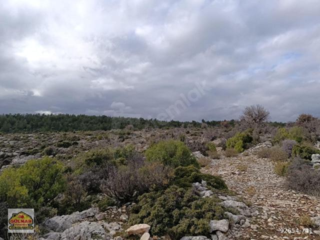 GÜLNAR TIRNAK MAH. SATILIK 27,000 M2 TARLA