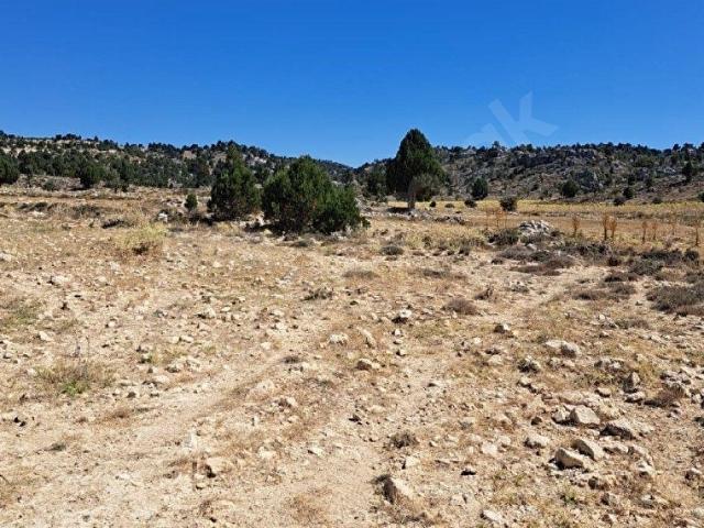 GÜLNAR'IN EN UYGUNU EN UCUZU. 4.889 M2 YATIRIMLIK TARLA