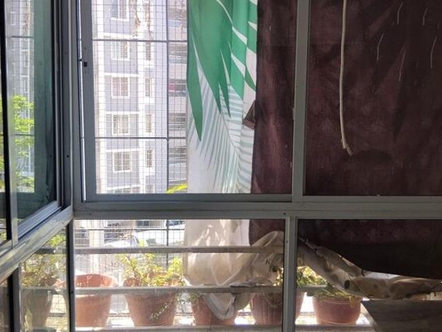 Gurudatta Rudraksh Vantage 1 Bedroom 648 Sq. Ft. Apartment in Punawale Pune Listing ID: #10380