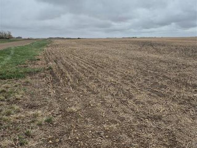 Gust Land, Arm River Rm No. 252, SK, S0G 1A0 farm for sale | Listing ID SK036700 | Royal LePage