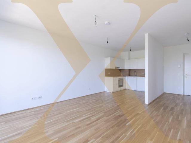 Gut ausgestattete 2 Zimmer Wohnung mit gemütlichem Balkon in Linz nähe Hummelhofwald zu vermieten! Top 2.09
