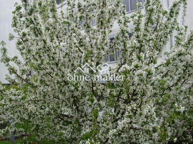 Gut gelegene 3,5 Zimmer Wohnung in Riedstadt Goddelau incl. Tiefgaragenstellplatz