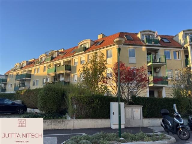 Gut geschnittene 3 Zimmerwohnung mit Loggia und Parkplatz Wiener Neudorf