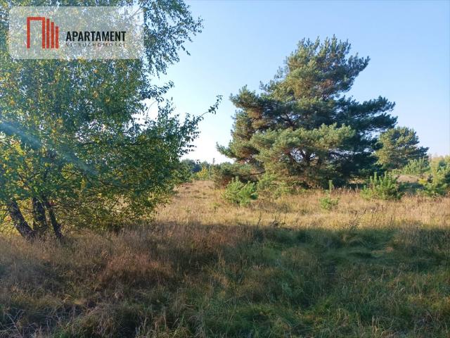 Działka 16 800 m2 z warunkami zabudowy, cisza i spokój