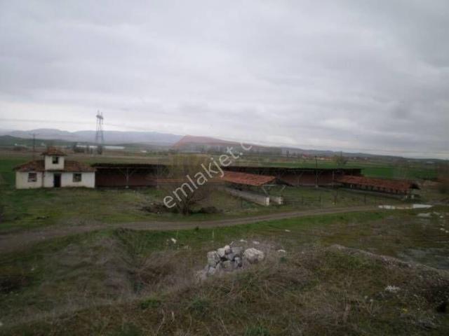 Güvenay Çorum Alaca Kavşağı İlerisi Tarhan Civarında 8 Dönüm Çiftlik