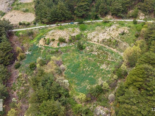 Güzelbahçe Payamlı'da Satılık 6632 m2 Bağ