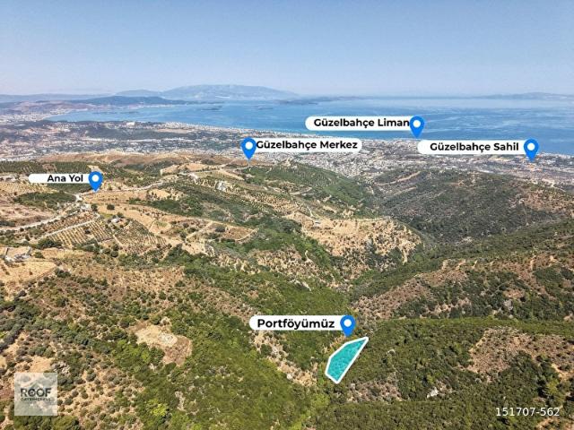 Güzelbahçe Yaka Mah. 3.580,78 M Satılık Tek Tapu Zeytinli Tarla