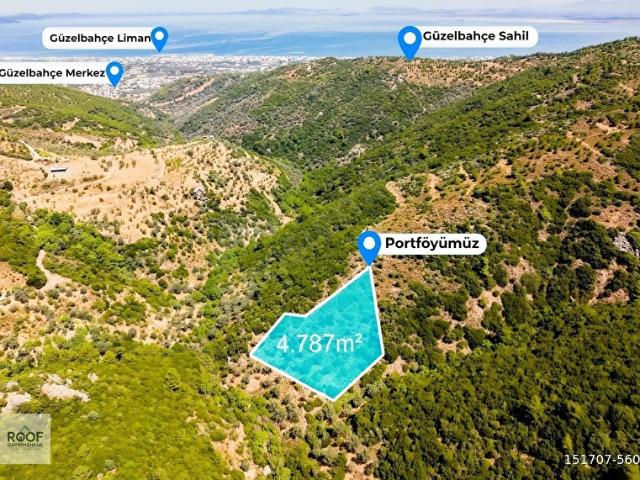 Güzelbahçe Yaka Mah. 4.787,52 m Satılık Tek Tapu Zeytinlik