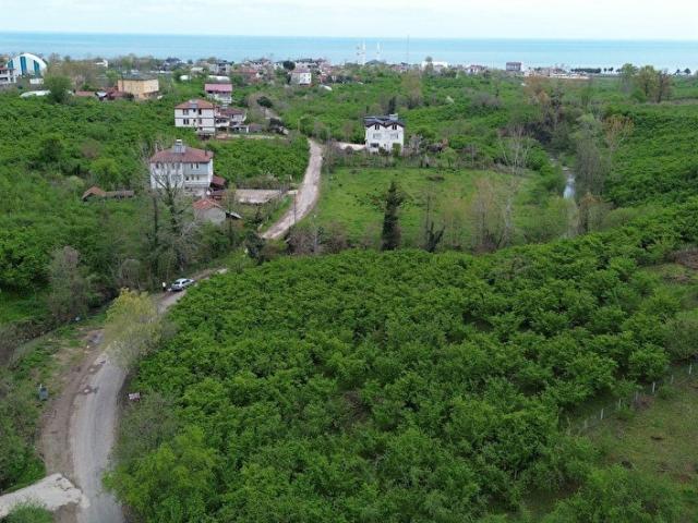 \Güzelyalıda, Evim Gayrimenkul Farkıyla! 2.996 m, İki Kat İmarlı Yatırımlık Arsa\