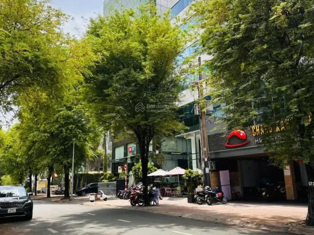 H.Ottt Cần Chuyển Nhượng Gấp Tài Sản Đắc Địa Võ Văn Tần Quận 3