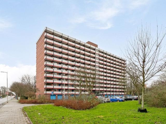H. Cleyndertweg 241, 1025DM, Amsterdam, Noord Holland 1025DM