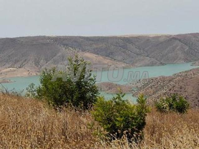 ضيعة فلاحية