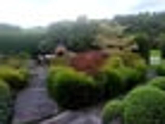 Hamurana, 2 bedrooms, $650 pw