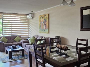 HAMBURGO/ ESTRELLA SOLITARIA