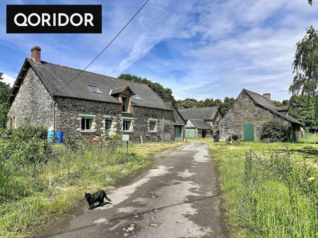 Hameau en pierre avec dépendances sur 1,7 hectares Potentie 88m² Boistrudan