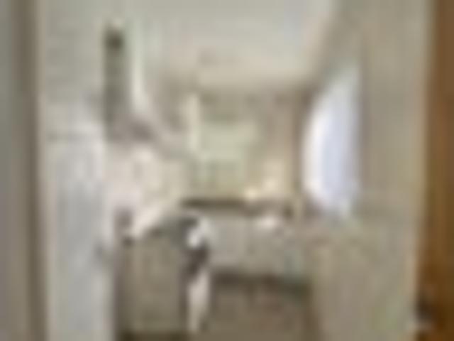 Hamilton East, 1 bedroom, $350 pw