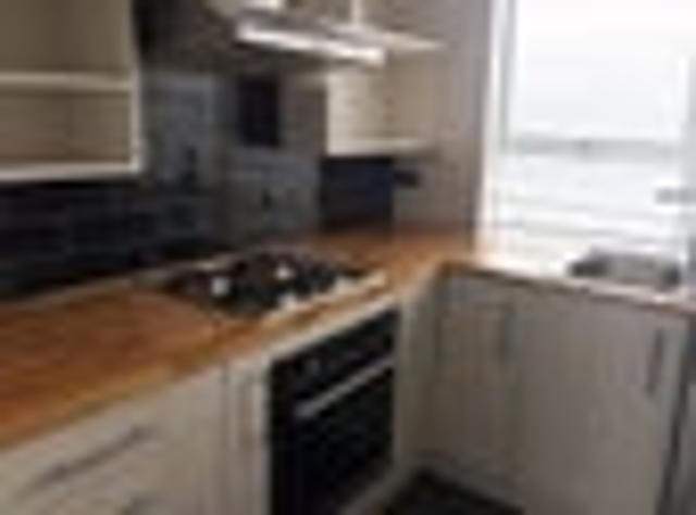 Hamilton East, 4 bedrooms, $560 pw