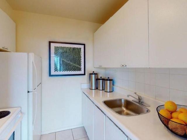 Hampton House South 1B Apartment for Rent