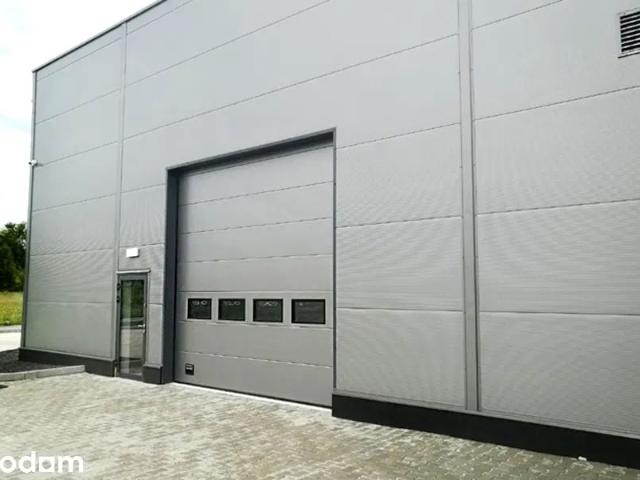 Handlowa 700 m², Zabrze