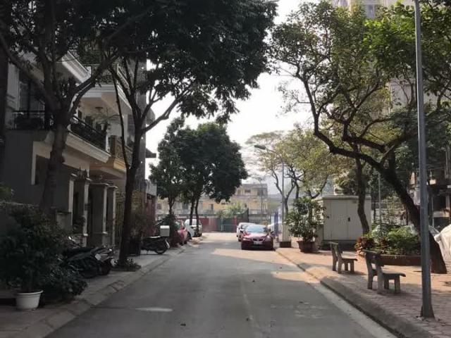 Hàng Xóm Royal City, Phân Lô Vip Phố Nguyễn Trãi, 88M X 5 Tầng, Giá 24 Tỷ