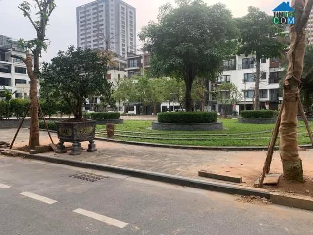 Hàng Xóm Star Lake, Liền Kề Romantic Park Tây Hồ Tây 112m x 6T x Mt 8m. Giá 52 tỷ