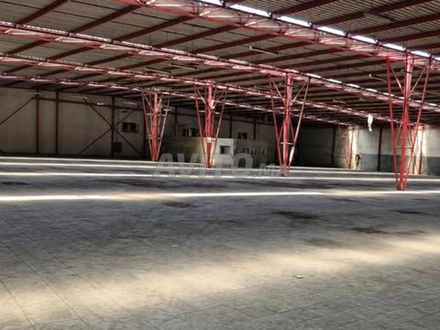 Hangar 5000 m² à louer – Aïn Sebaâ