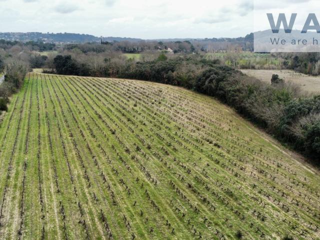 HANGAR 86 m2 et TERRES 57540 m2 à Salinelles 30250