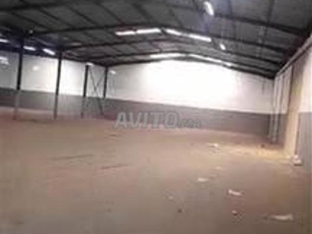 Hangar à louer