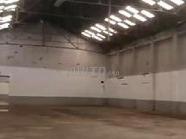 Hangar à louer Ain Borja