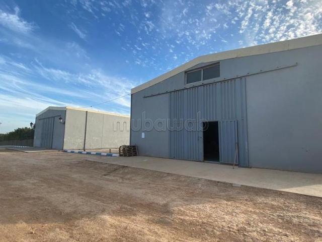 Hangar de stockage à louer à Al Khayata