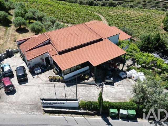 Hangar em Ervedosa do Douro de 841,00 m²
