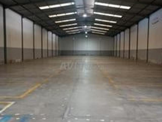 Hangars à louer Ain Borja