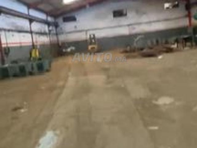 Hangars à louer Ain Sebaa