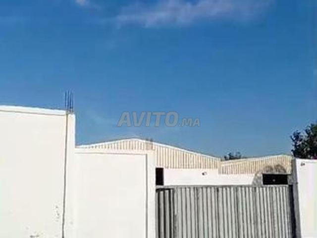 Hangars à vendre Tanger Boukdour