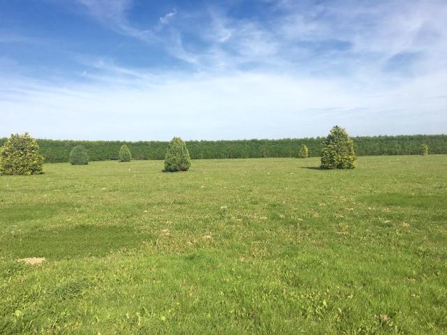 Hangest en Santerre Vente Terrain 80