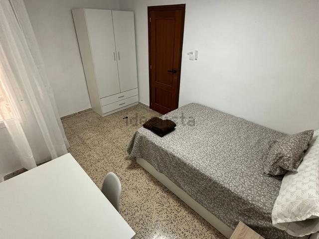 Habitación, Novelda