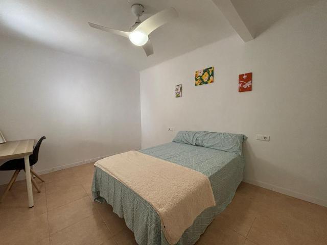 Habitación Alquiler Alicante