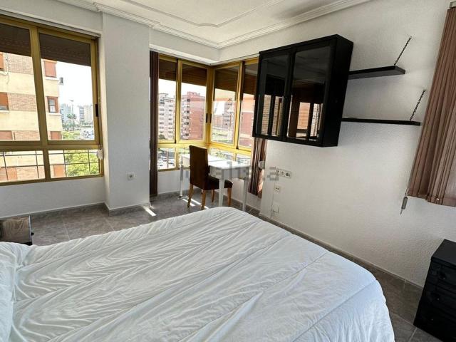 Habitación, Babel, Alicante / Alacant