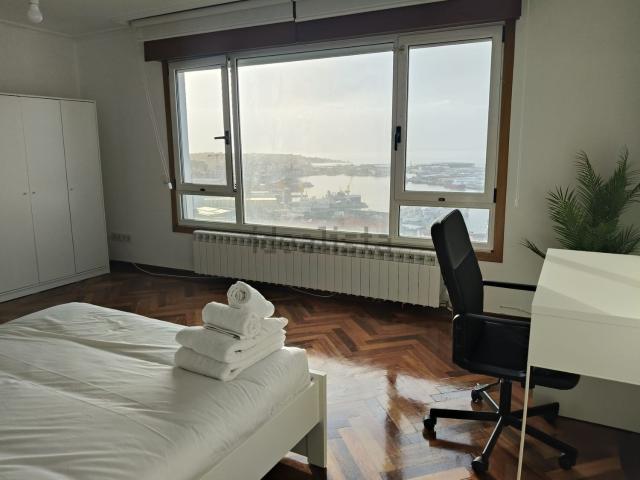 Habitación, Camelias Pi y Margall, Vigo