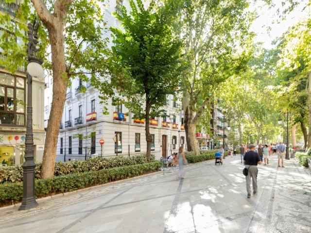 Habitación, Carrera de la Virgen Paseo del Salón, Granada