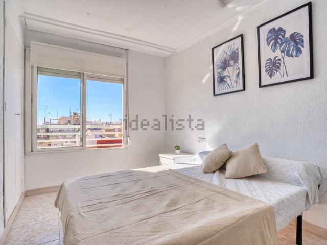 Habitación, Centro, Elche / Elx