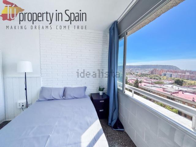 Habitación, Ciudad Elegida, Alicante / Alacant