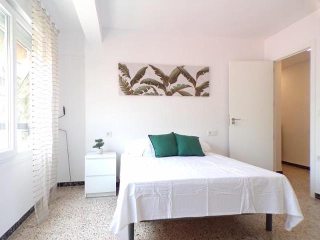 Habitación en alquiler en Alicante, Carolinas bajas