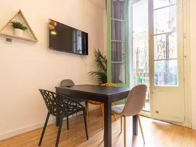 Habitación en Carrer de Sant Pau, El Raval