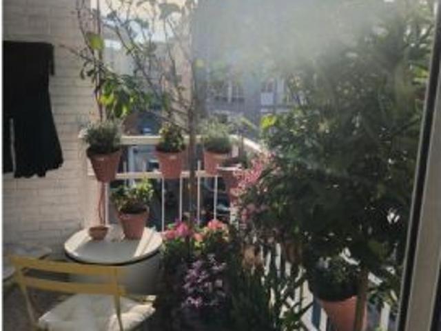 Habitación en piso compartido de 1 dormitorio en alquiler en Alicante
