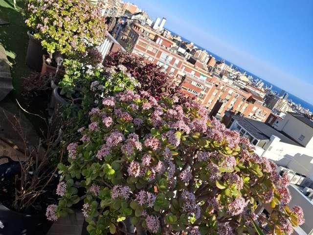 Habitación en piso compartido en barcelona