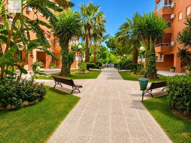 HABITACION EN RESIDENCIAL CON JARDINES EN TEATINOS MALAGA